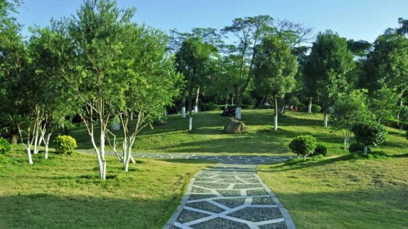 球速体育关于本站配图：体育直播与体育社区内容团队工作场景